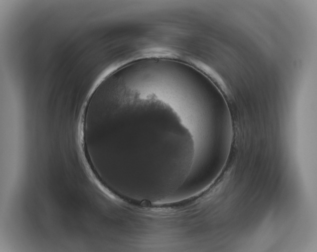 X0000112911383200908311228