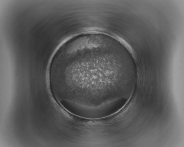 X0000112911384200908311228