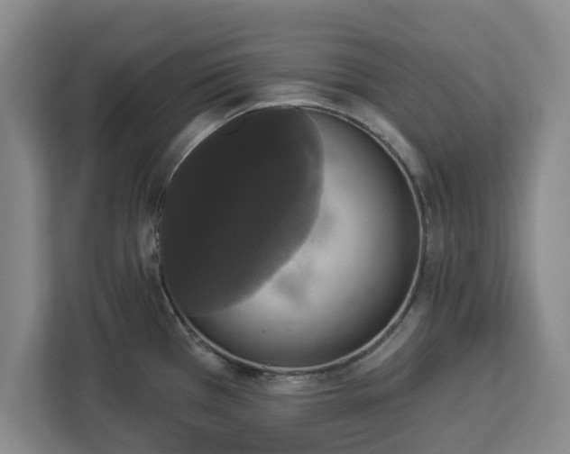 X0000112911385200908311228