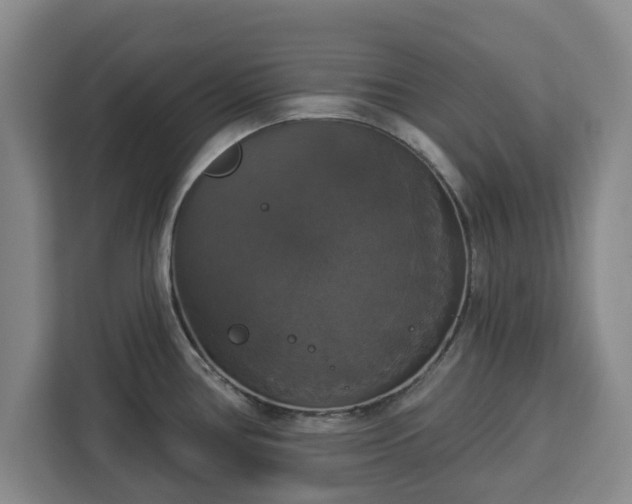 X0000112911386200908311228