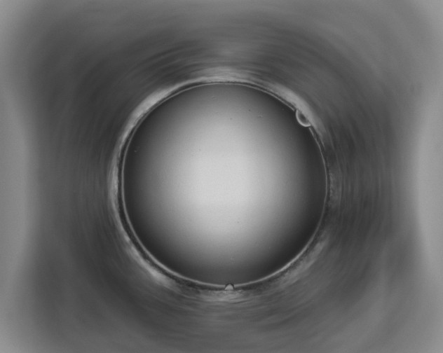 X0000112911387200908311228