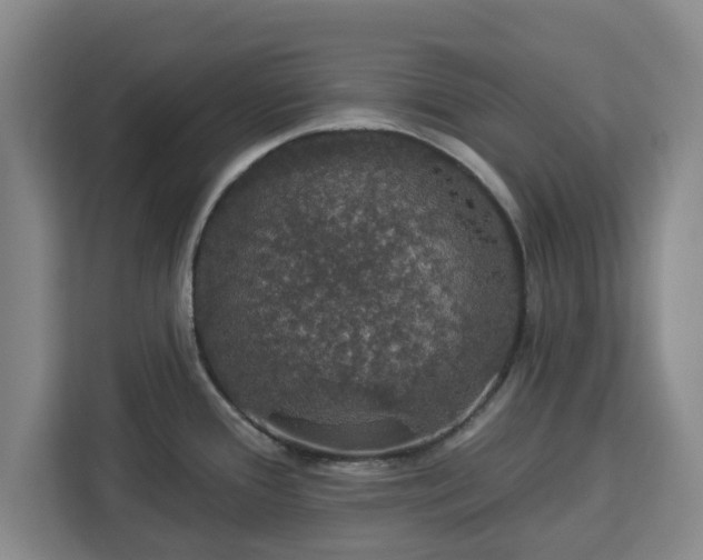 X0000112911388200908311228