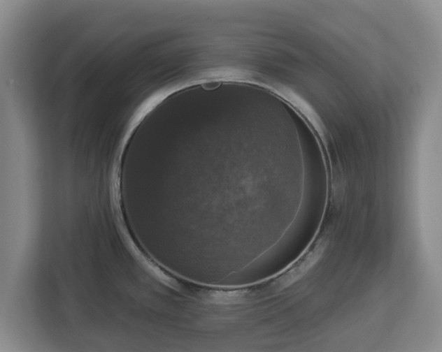 X0000112911389200908311228