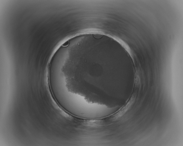 X0000112911390200908311228