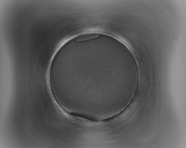 X0000112911392200908311228