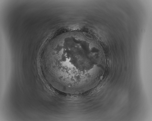 X0000112911393200908311228