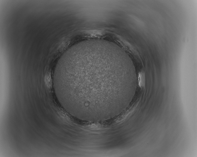 X0000112911395200908311228