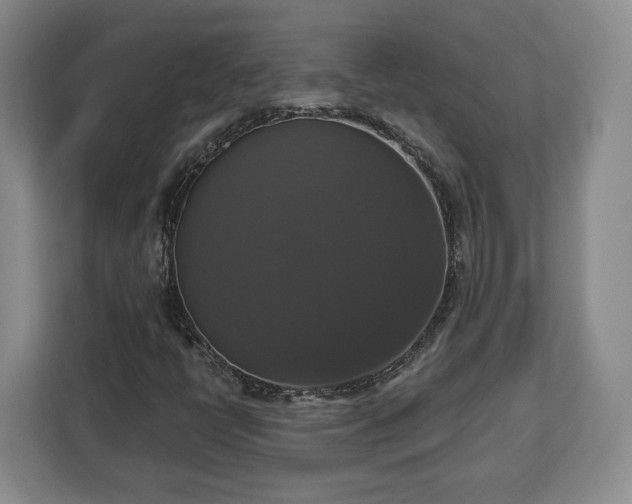 X0000112911398200908311228