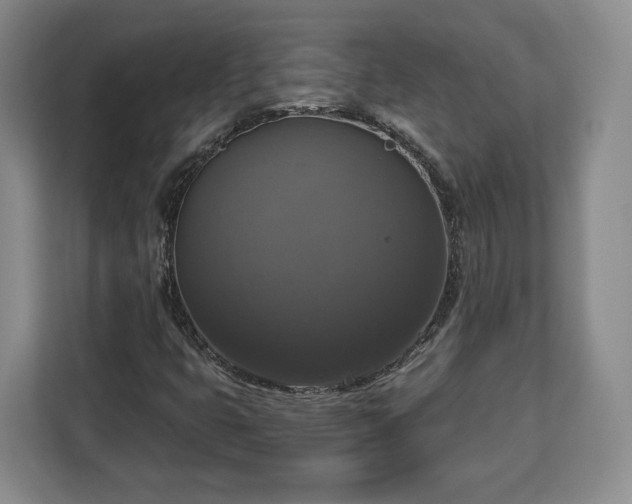 X0000112911399200908311228