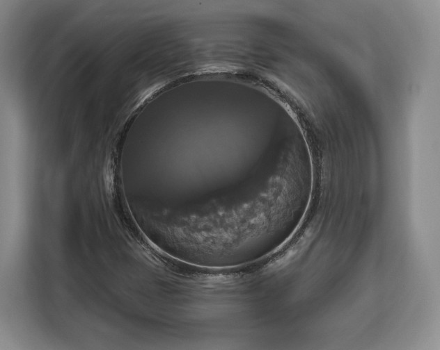 X0000112911401200908311228