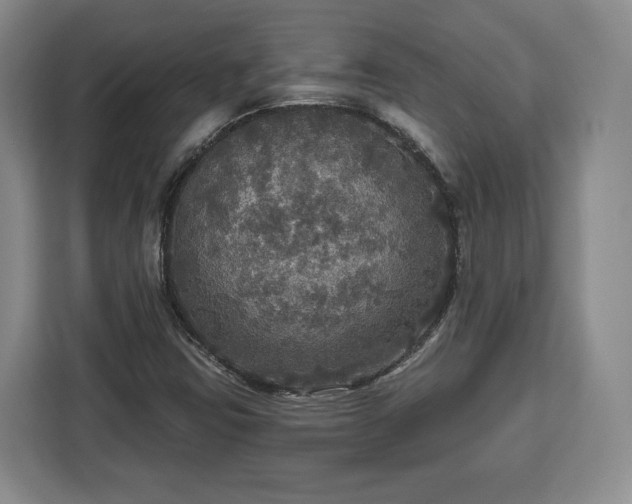 X0000112911403200908311228