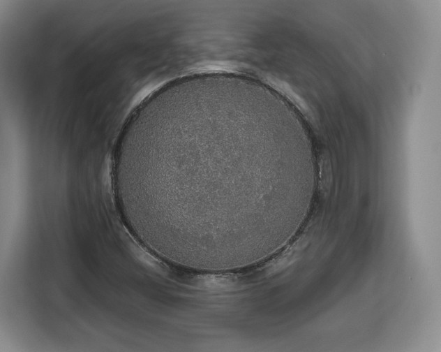 X0000112911404200908311228