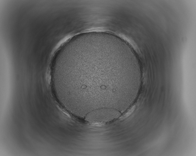 X0000112911406200908311228