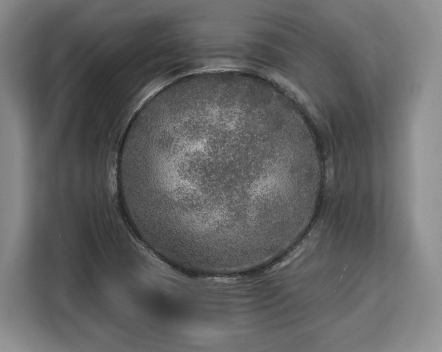 X0000112911409200908311228