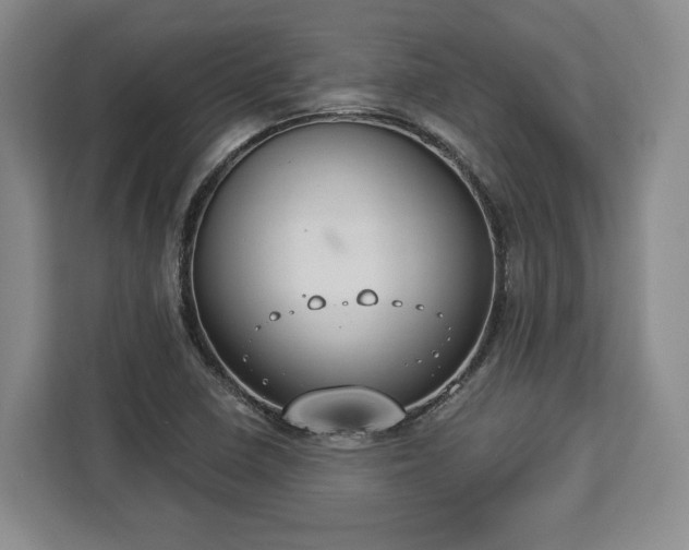 X0000112911410200908311228