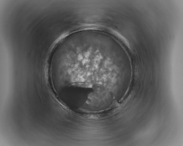 X0000112911411200908311228