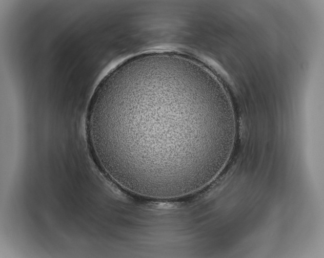 X0000112911412200908311228