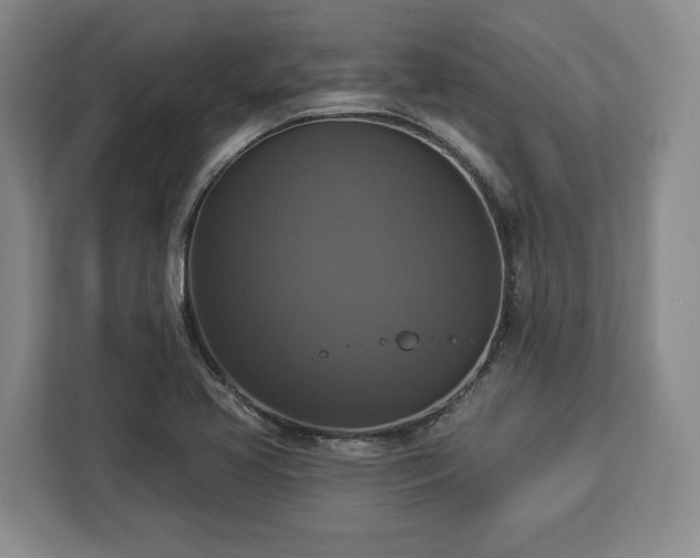 X0000112911413200908311228