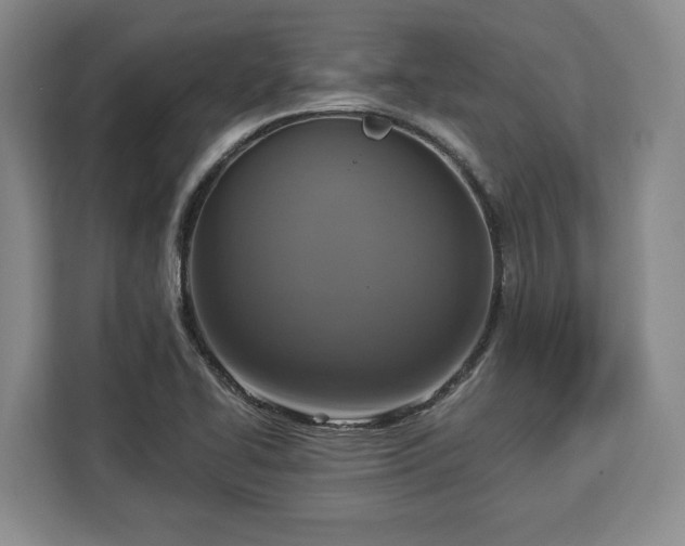 X0000112911414200908311228