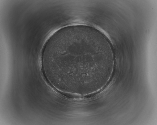 X0000112911415200908311228