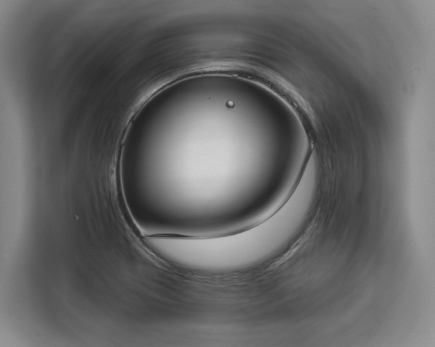 X0000112911417200908311228