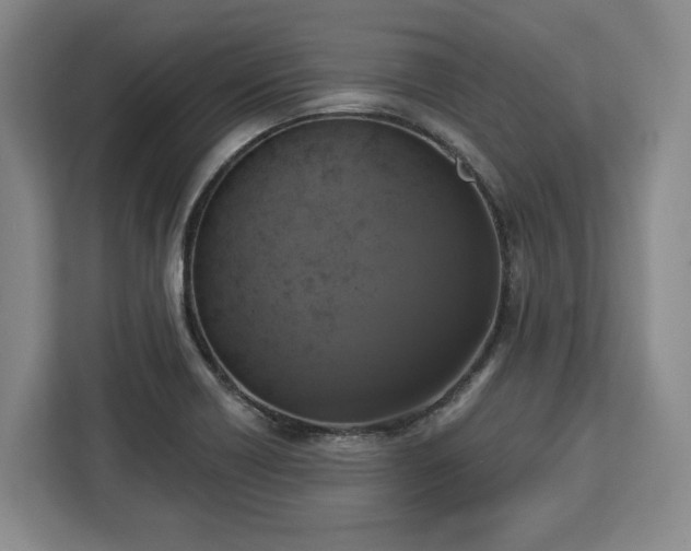 X0000112911418200908311228