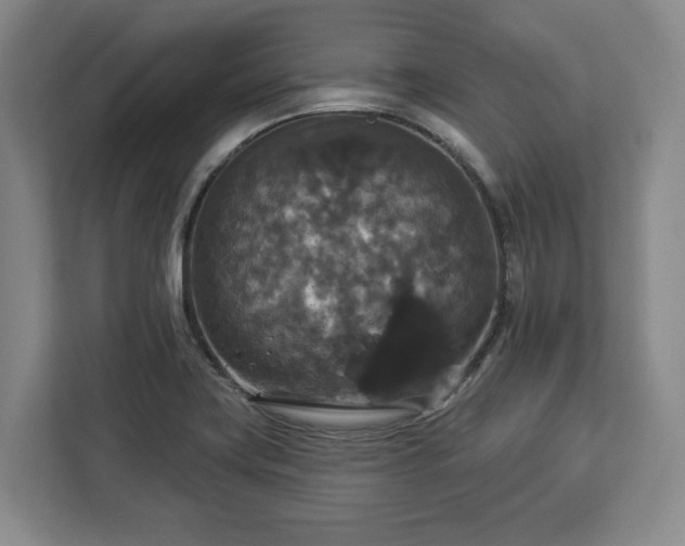 X0000112911419200908311228