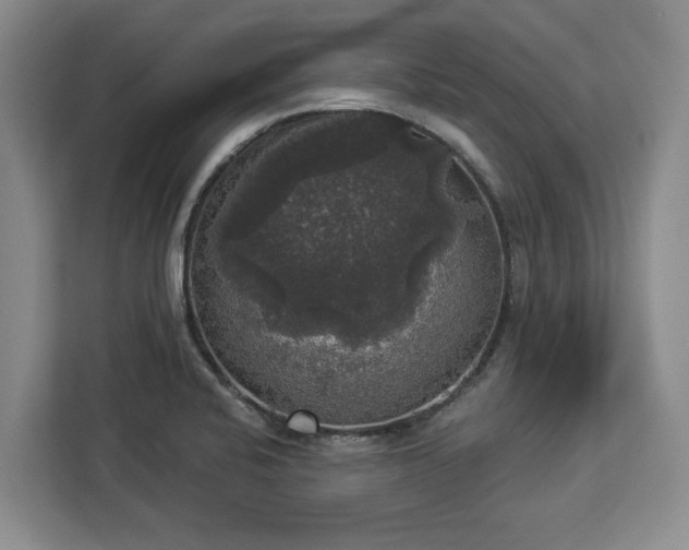 X0000112911424200908311228