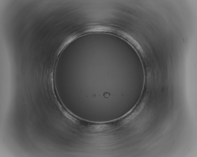 X0000112911425200908311228