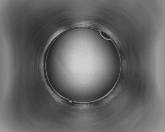 X0000112911426200908311228