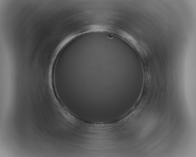 X0000112911427200908311228