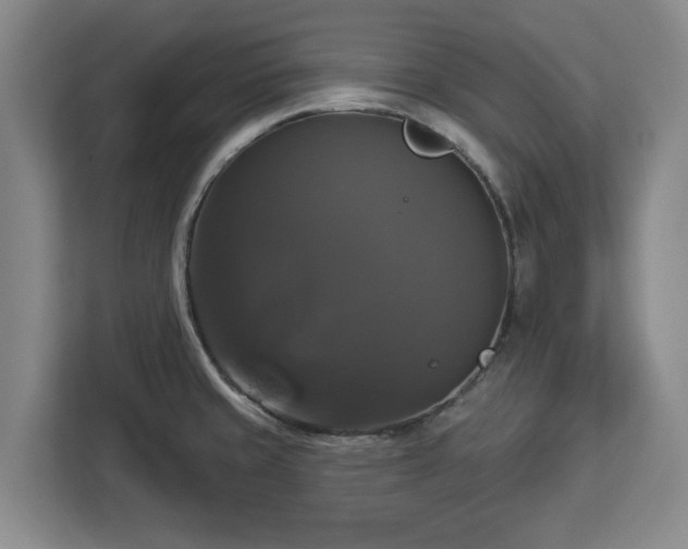 X0000112911429200908311228