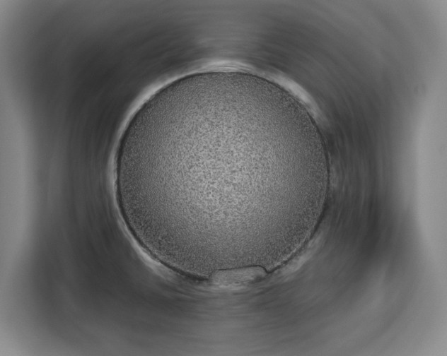 X0000112911430200908311228