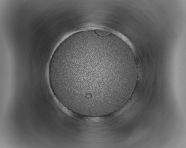 X0000112911431200908311228