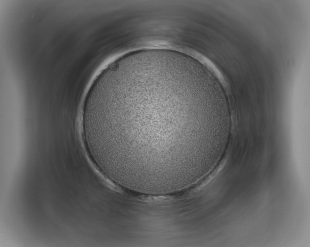 X0000112911432200908311228