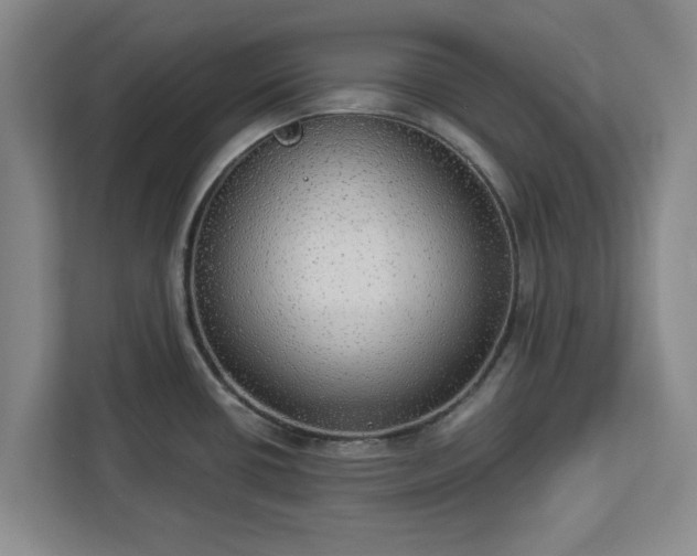 X0000112911434200908311228