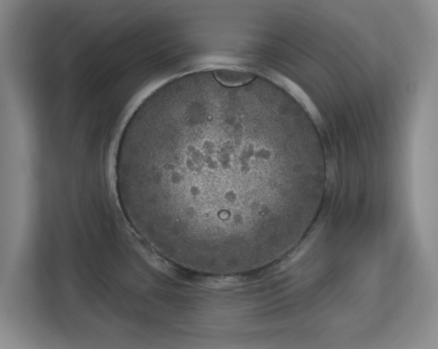 X0000112911435200908311228