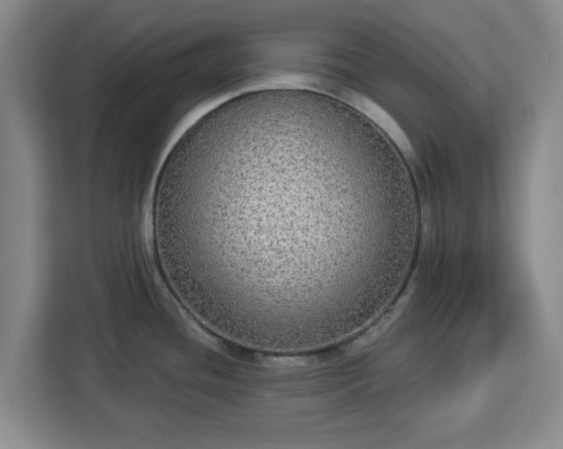 X0000112911436200908311228