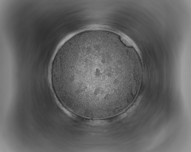 X0000112911437200908311228