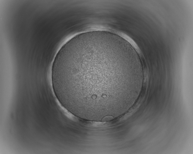 X0000112911439200908311228