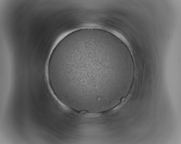 X0000112911440200908311228