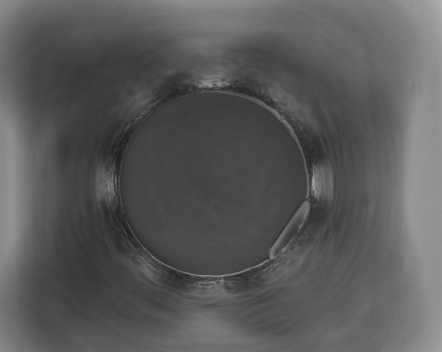 X0000112911444200908311228