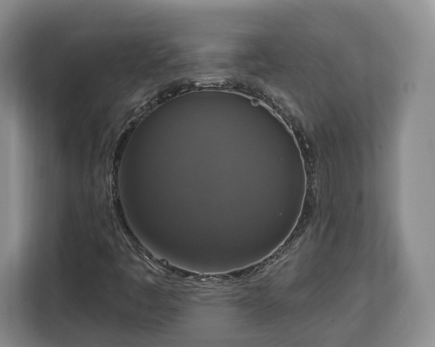 X0000112911445200908311228