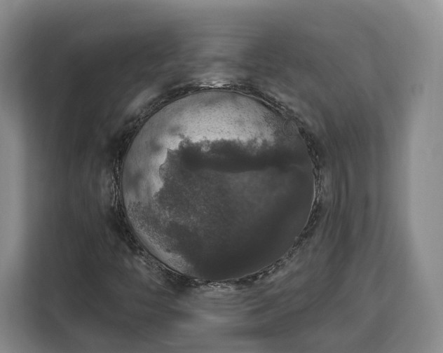 X0000112911446200908311227