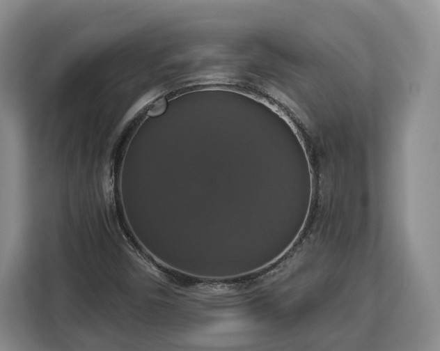 X0000112911450200908311227