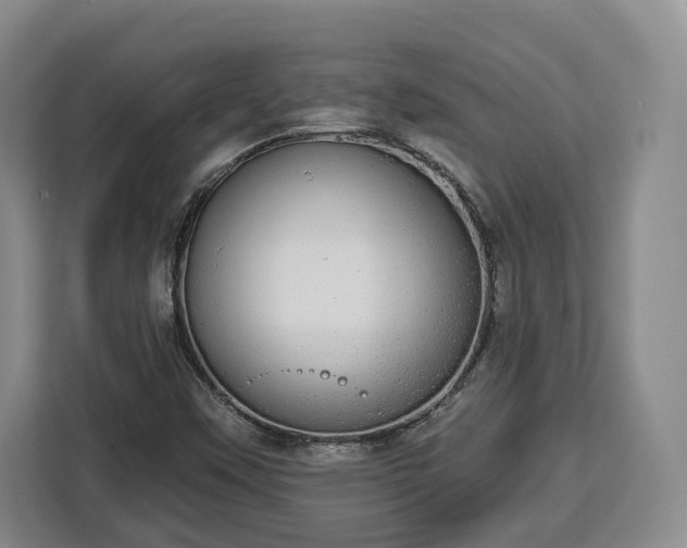 X0000112911451200908311227