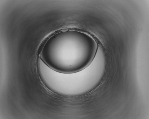 X0000112911452200908311227