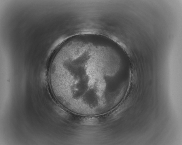 X0000112911454200908311227