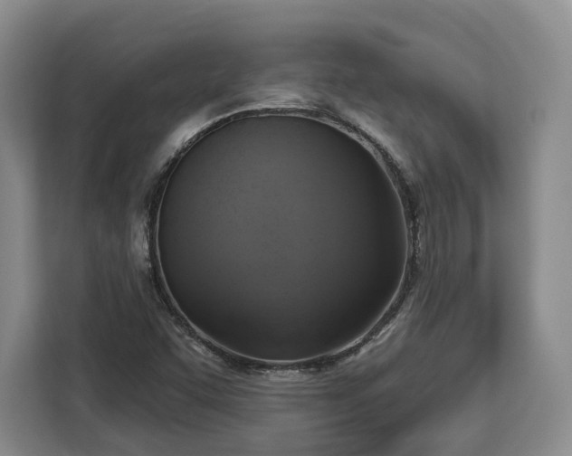 X0000112911455200908311227