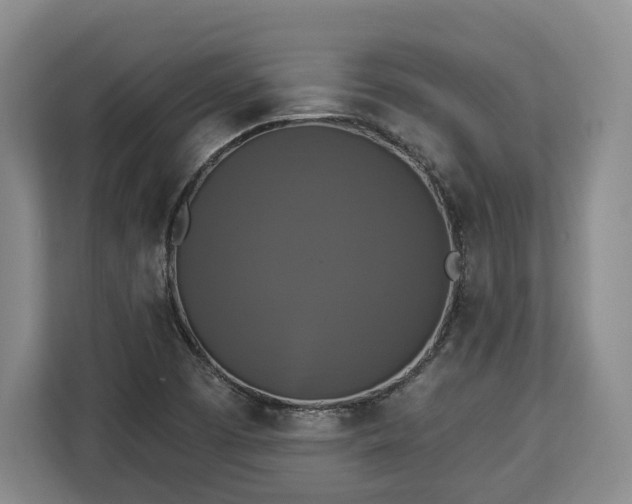 X0000112911457200908311227